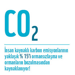 .
© WWF-Türkiye
© WWF-Türkiye