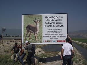 Hatay dağ ceylanı bilgilendirme tabelası
© Türkiye'nin Canı. TTKD
© Türkiye'nin Canı. TTKD